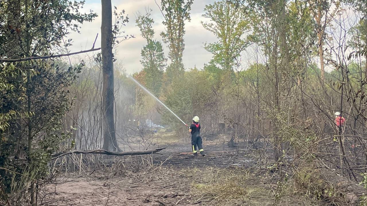 Ein Feuerwehrmann bei Löscharbeiten im Wald
