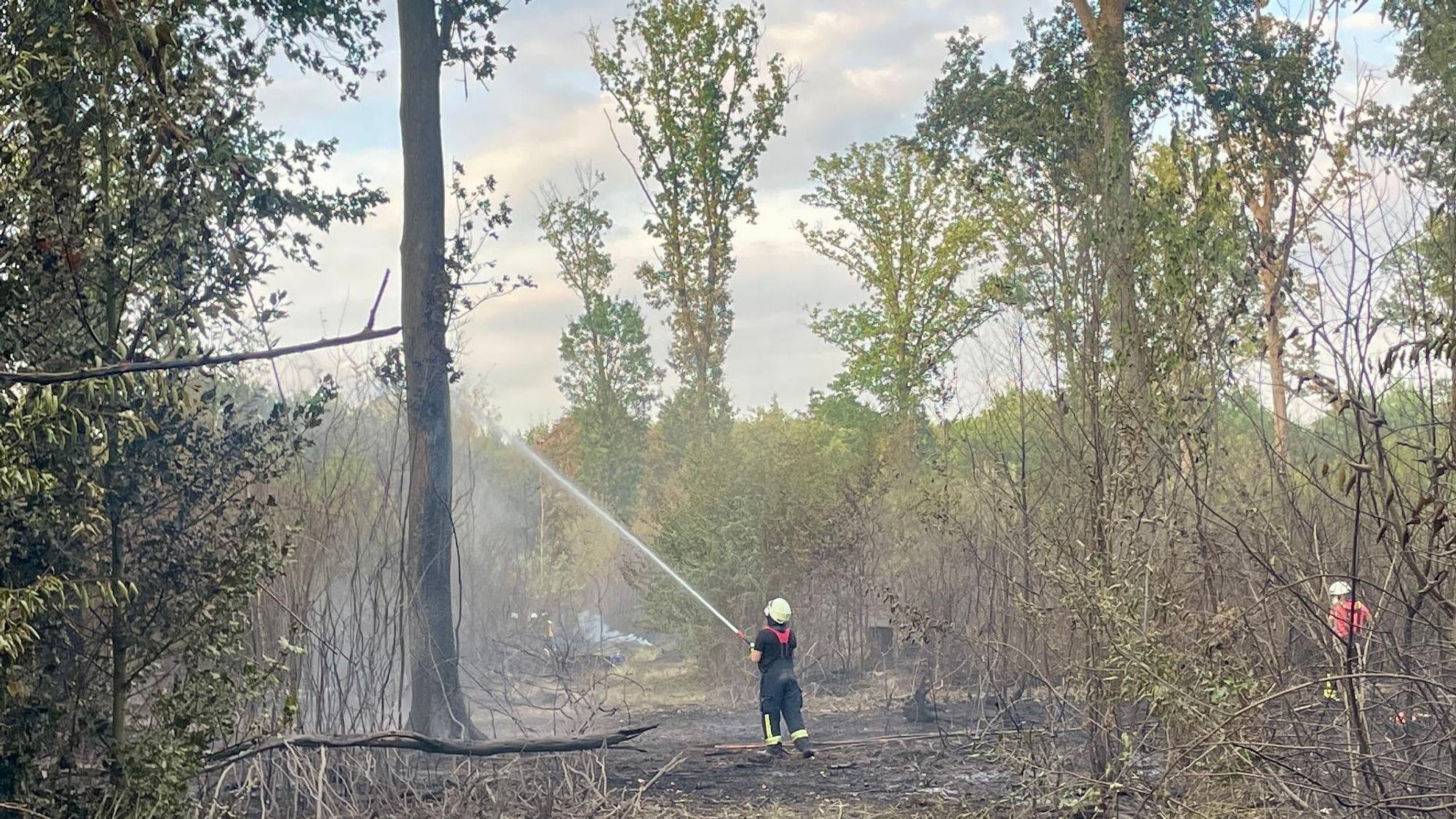 Ein Feuerwehrmann bei Löscharbeiten im Wald