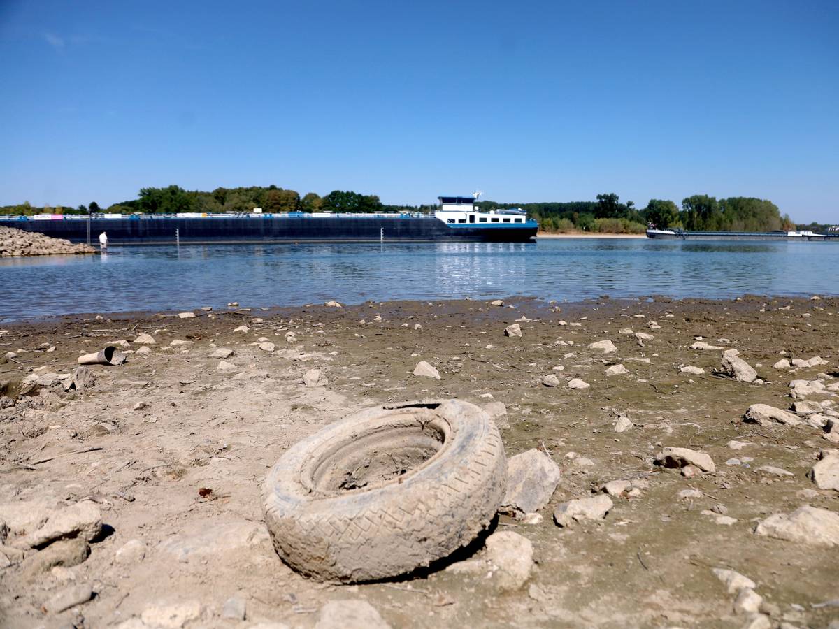 Der sinkende Rheinpegel hat einen Autoreifen trockengelegt, im Hintergrund ist ein Schiff im Rhein unterwegs.