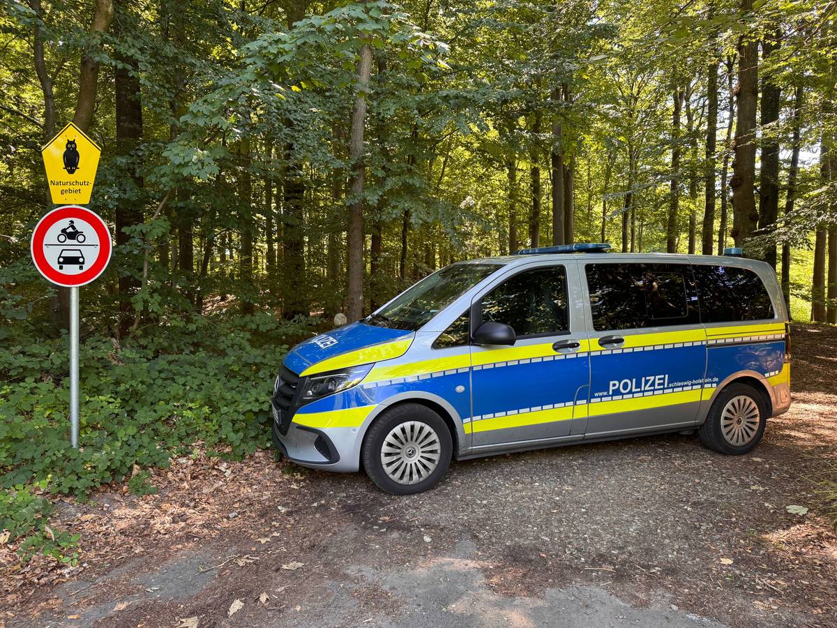 Ein Einsatzfahrzeug der Polizei steht vor einem Waldstück im Landkreis Schleswig-Flensburg. In der Nähe von Flensburg hat ein Jäger einen in Plastikfolie verpackten Torso eines Mannes gefunden. Die Polizei geht von einem Gewaltverbrechen aus und sucht nach weiteren Spuren.
