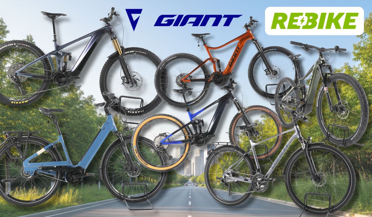 Giant E-Bikes verschiedener Kategorien – darunter E-MTBs, City- und Trekking-E-Bikes – vor einem sommerlichen Wald- und Wiesen-Hintergrund mit Radweg und Bäumen. Logos von Rebike und Giant.