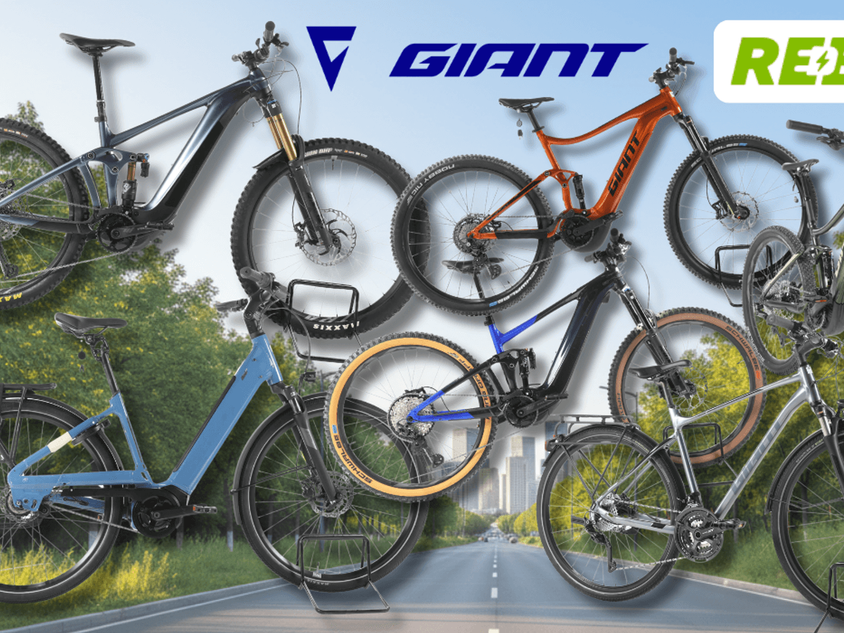 Giant E-Bikes verschiedener Kategorien – darunter E-MTBs, City- und Trekking-E-Bikes – vor einem sommerlichen Wald- und Wiesen-Hintergrund mit Radweg und Bäumen. Logos von Rebike und Giant.