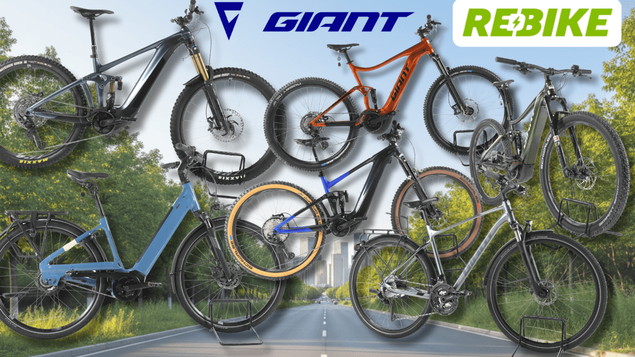 Giant E-Bikes verschiedener Kategorien – darunter E-MTBs, City- und Trekking-E-Bikes – vor einem sommerlichen Wald- und Wiesen-Hintergrund mit Radweg und Bäumen. Logos von Rebike und Giant.