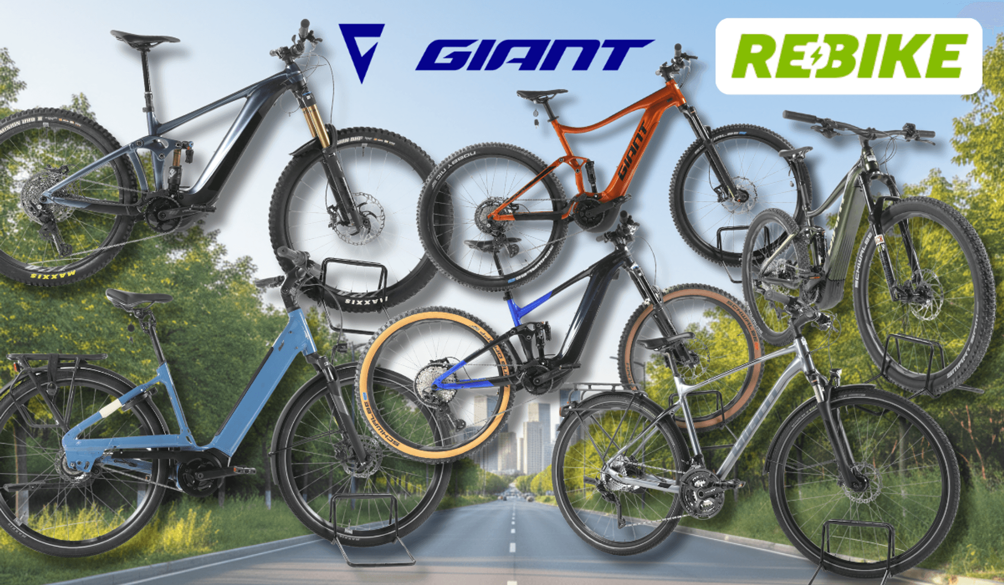 Giant E-Bikes verschiedener Kategorien – darunter E-MTBs, City- und Trekking-E-Bikes – vor einem sommerlichen Wald- und Wiesen-Hintergrund mit Radweg und Bäumen. Logos von Rebike und Giant.