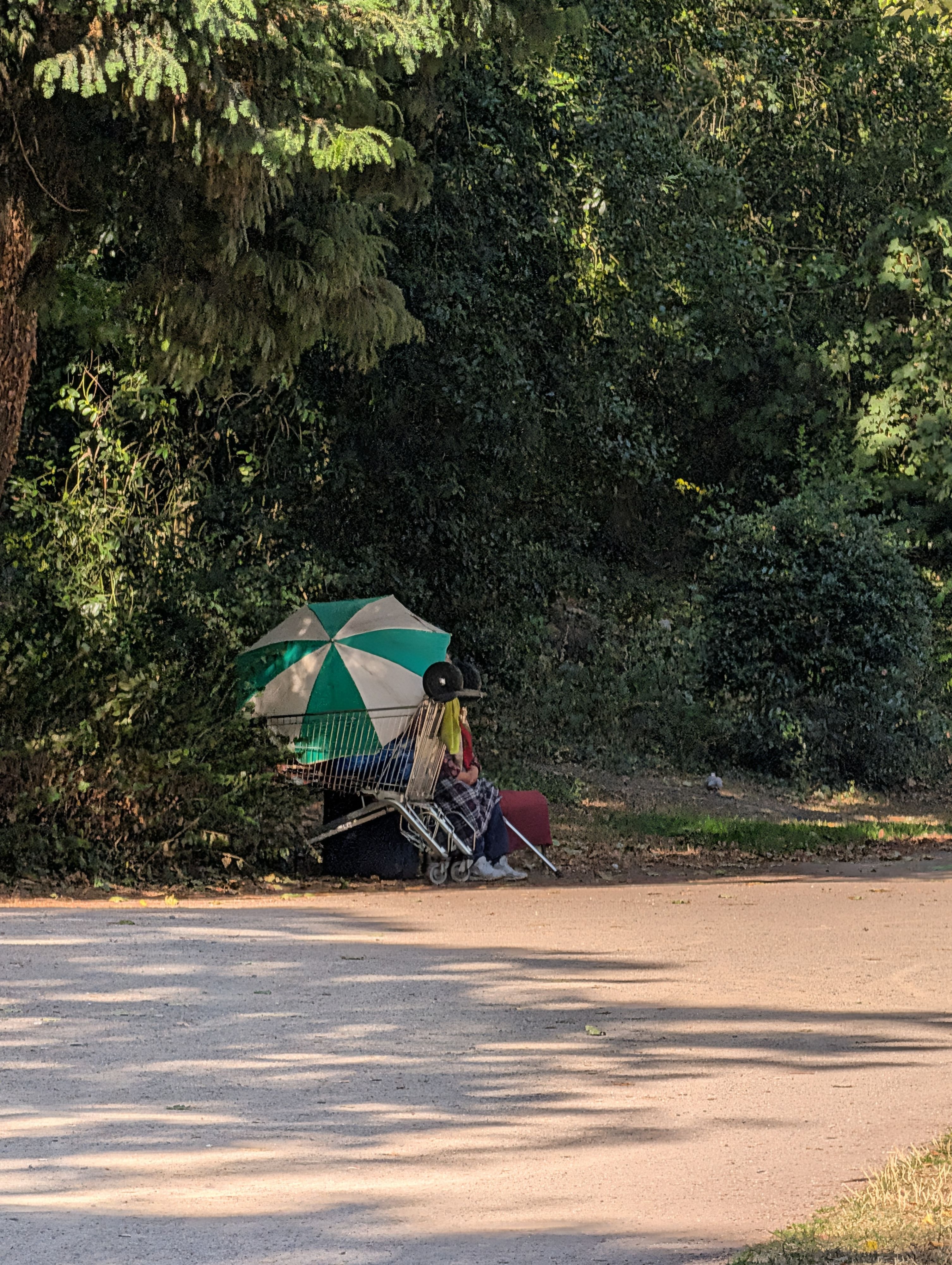 Eine Person hockt neben einem Einkaufswagen an einem Weg im Kölner Volksgarten.