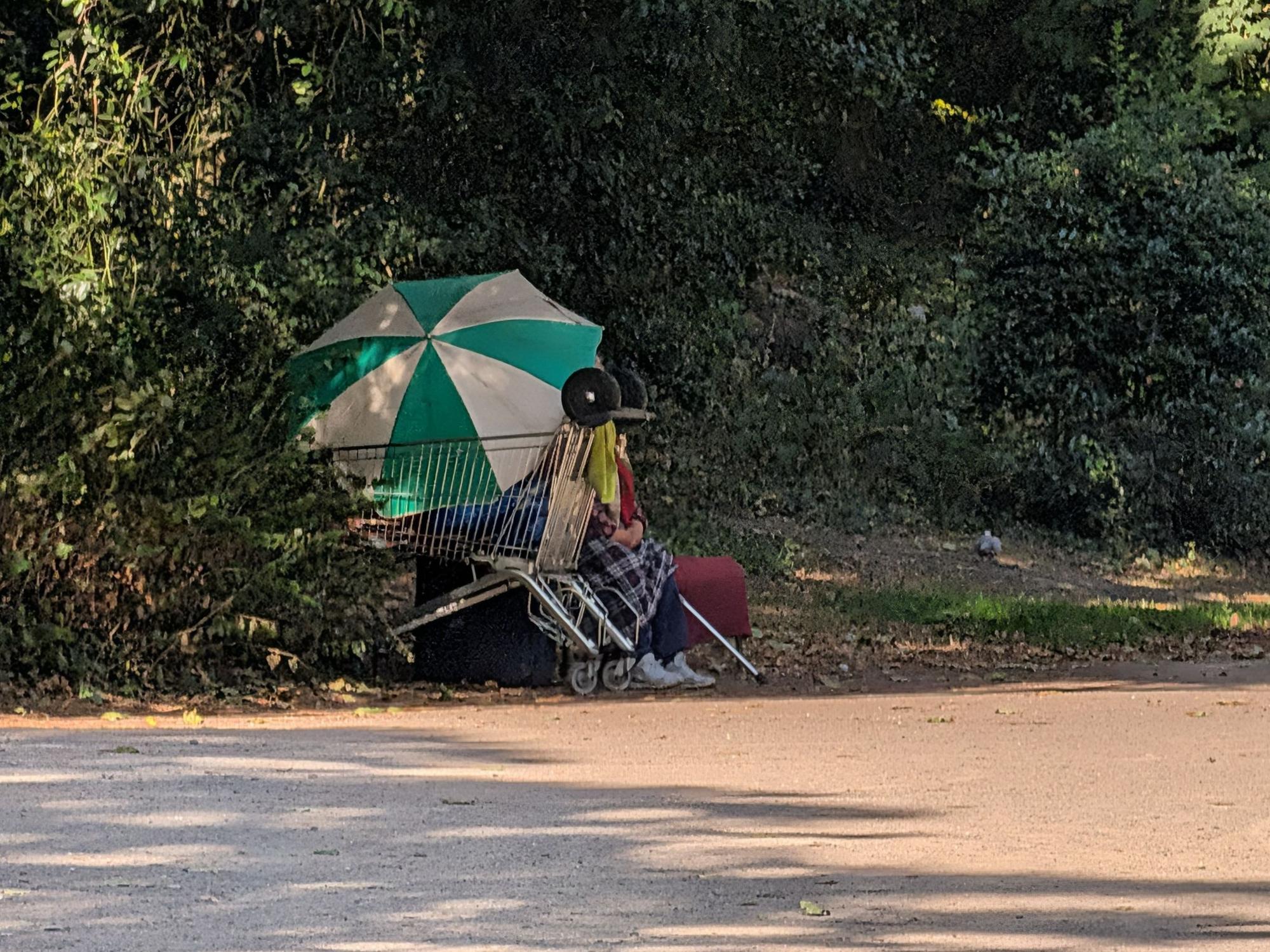 Eine Person hockt neben einem Einkaufswagen an einem Weg im Kölner Volksgarten.