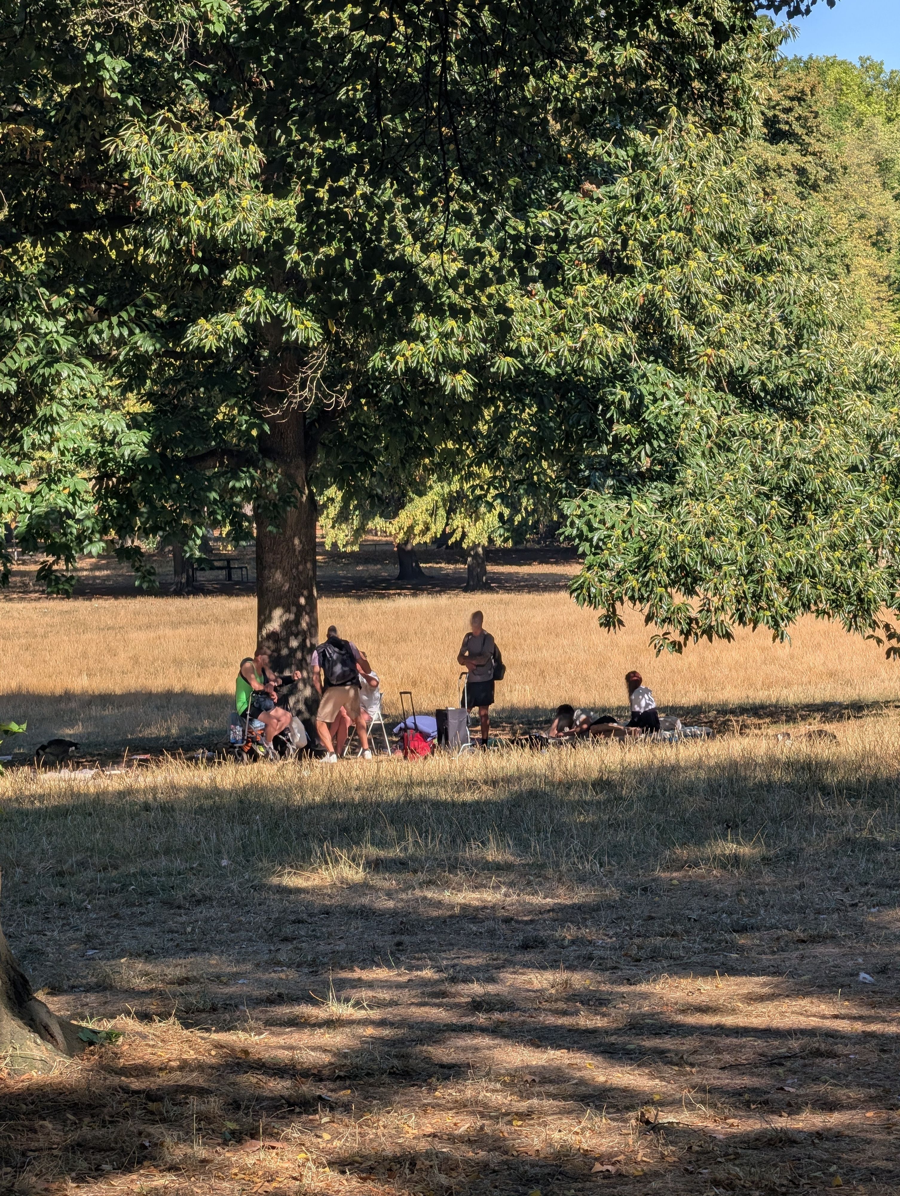 Mehrere Männer stehen oder sitzen im Volksgarten.
