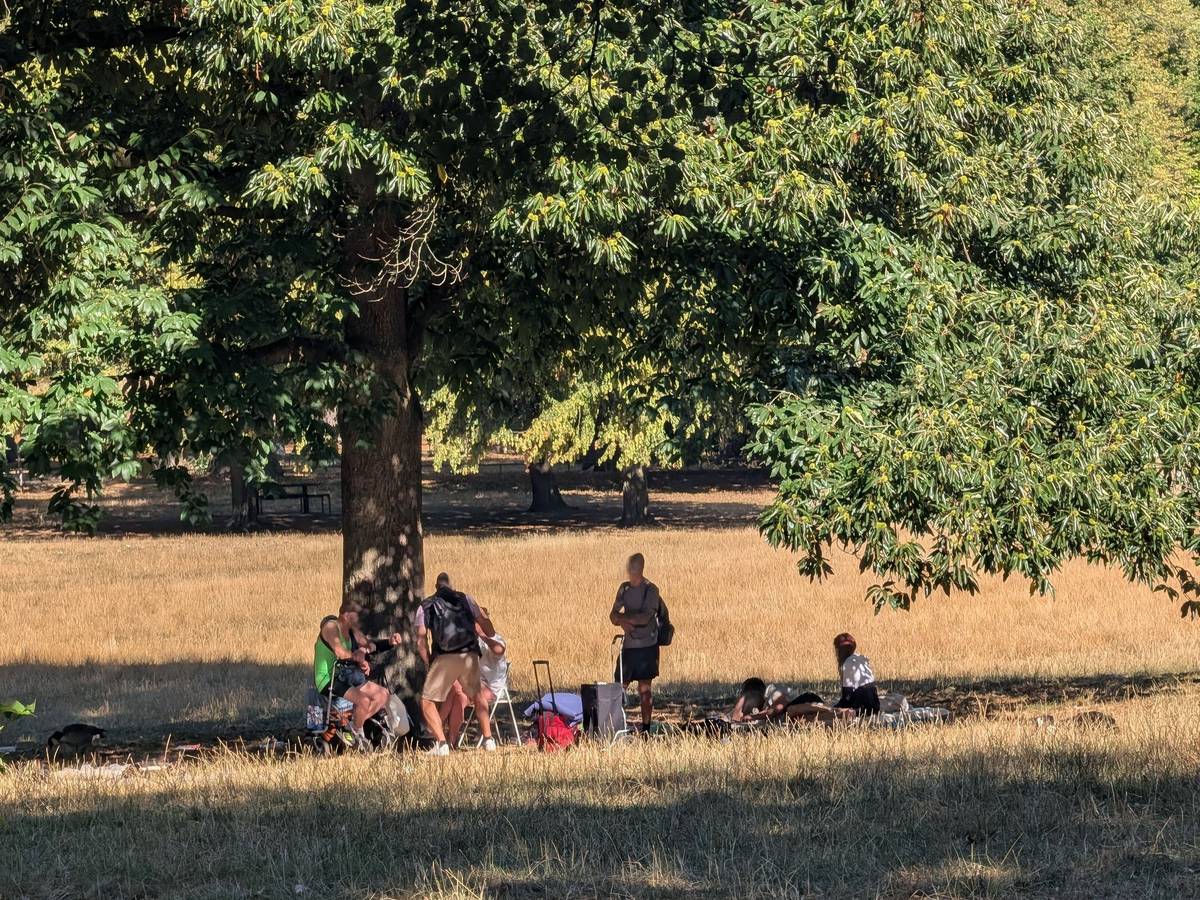 Mehrere Männer stehen oder sitzen im Volksgarten.