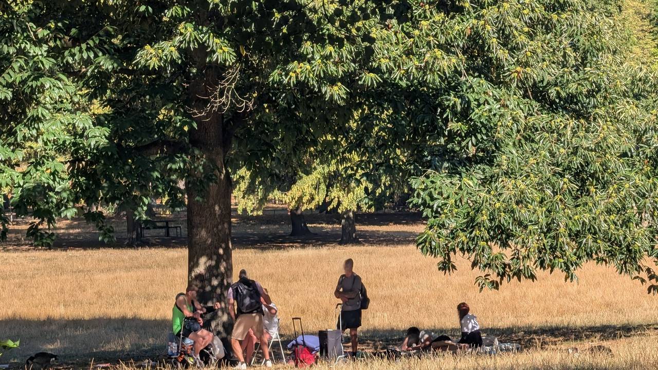 Mehrere Männer stehen oder sitzen im Volksgarten.