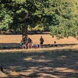 Mehrere Männer stehen oder sitzen im Volksgarten.
