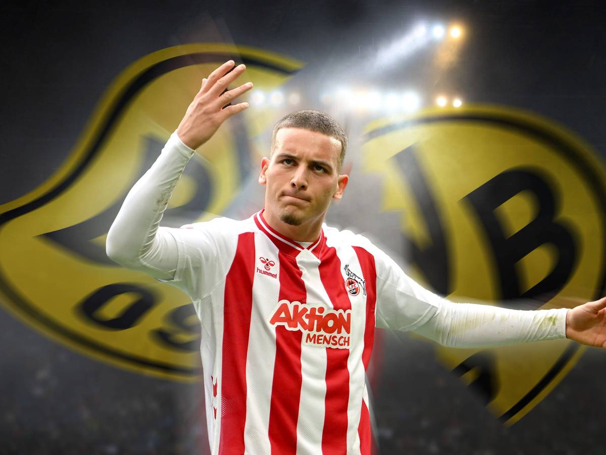 Fotomontage mit Said El Mala und dem Wappen von Borussia Dortmund.