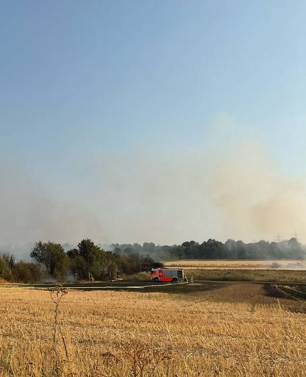 Ein von der Feuerwehr gelöschtes Feld in Bonn-Dransdorf.