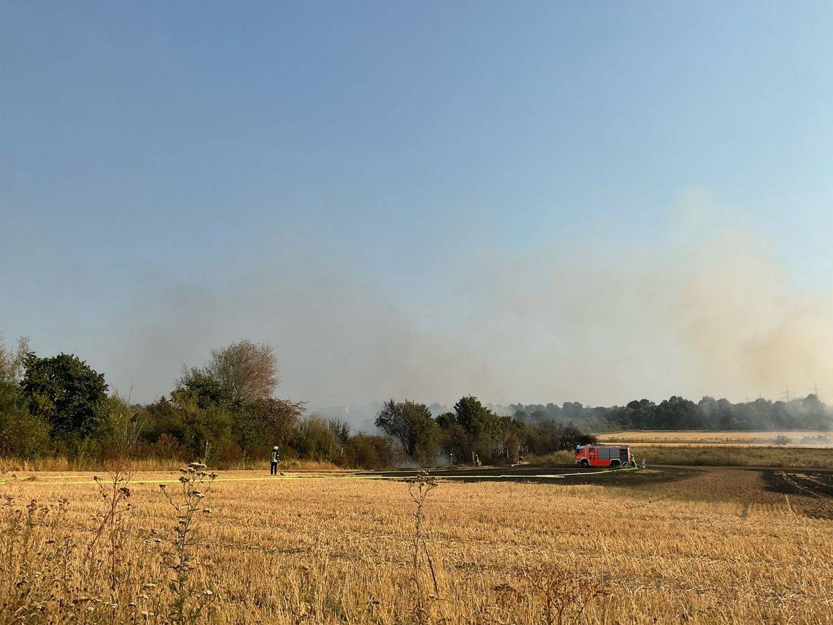 Ein von der Feuerwehr gelöschtes Feld in Bonn-Dransdorf.