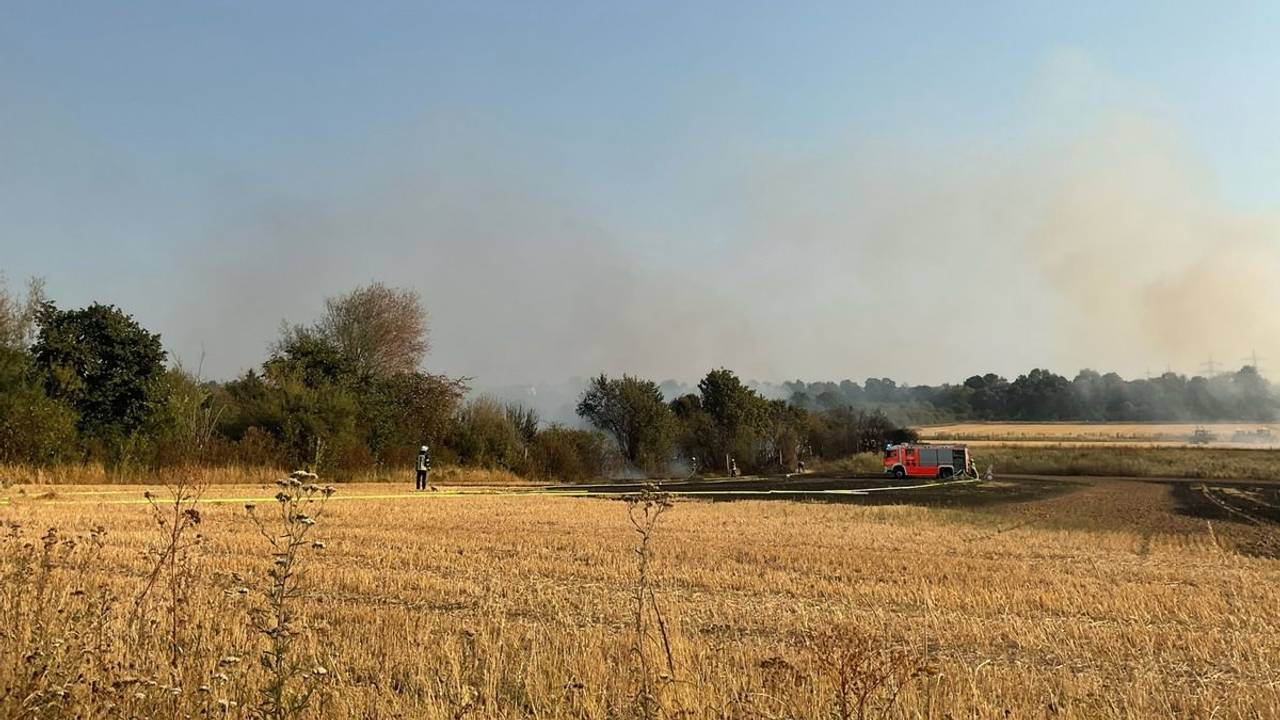 Ein von der Feuerwehr gelöschtes Feld in Bonn-Dransdorf.