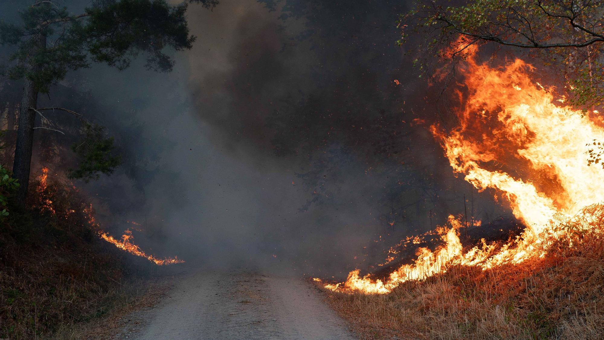 Flammen sind am Rand eines Waldwegs im Hürtgenwald zu sehen.