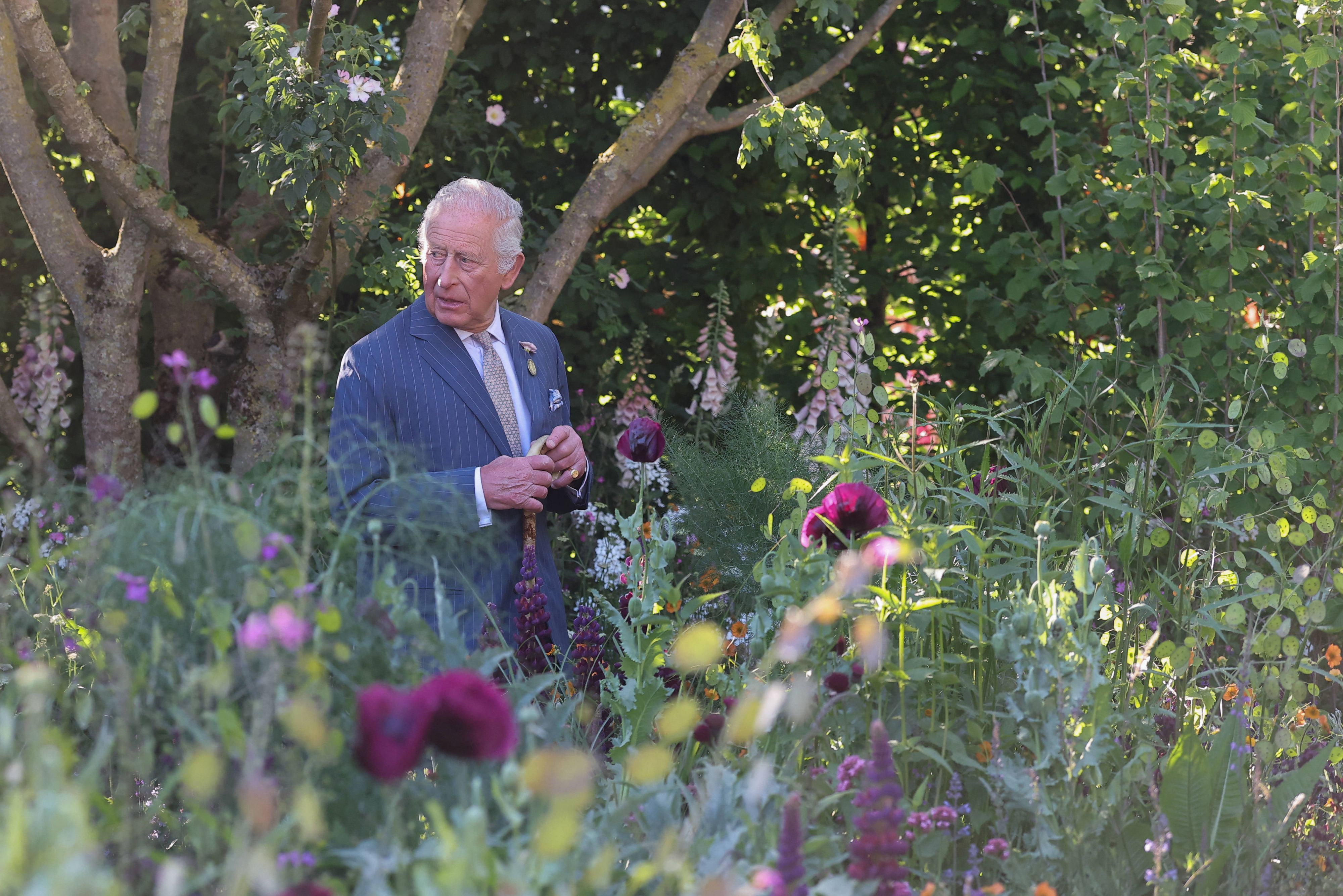 König Charles geht durch einen Garten
