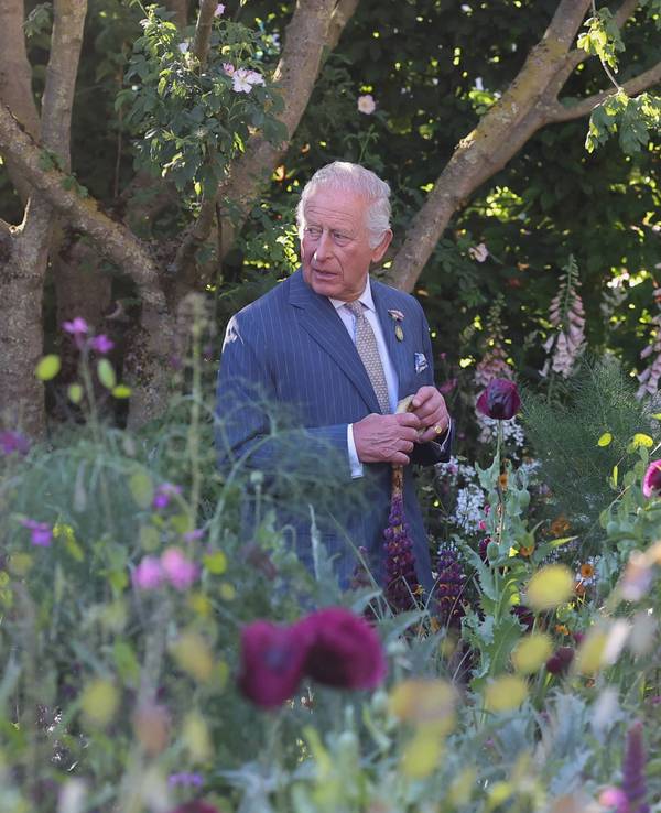 König Charles geht durch einen Garten