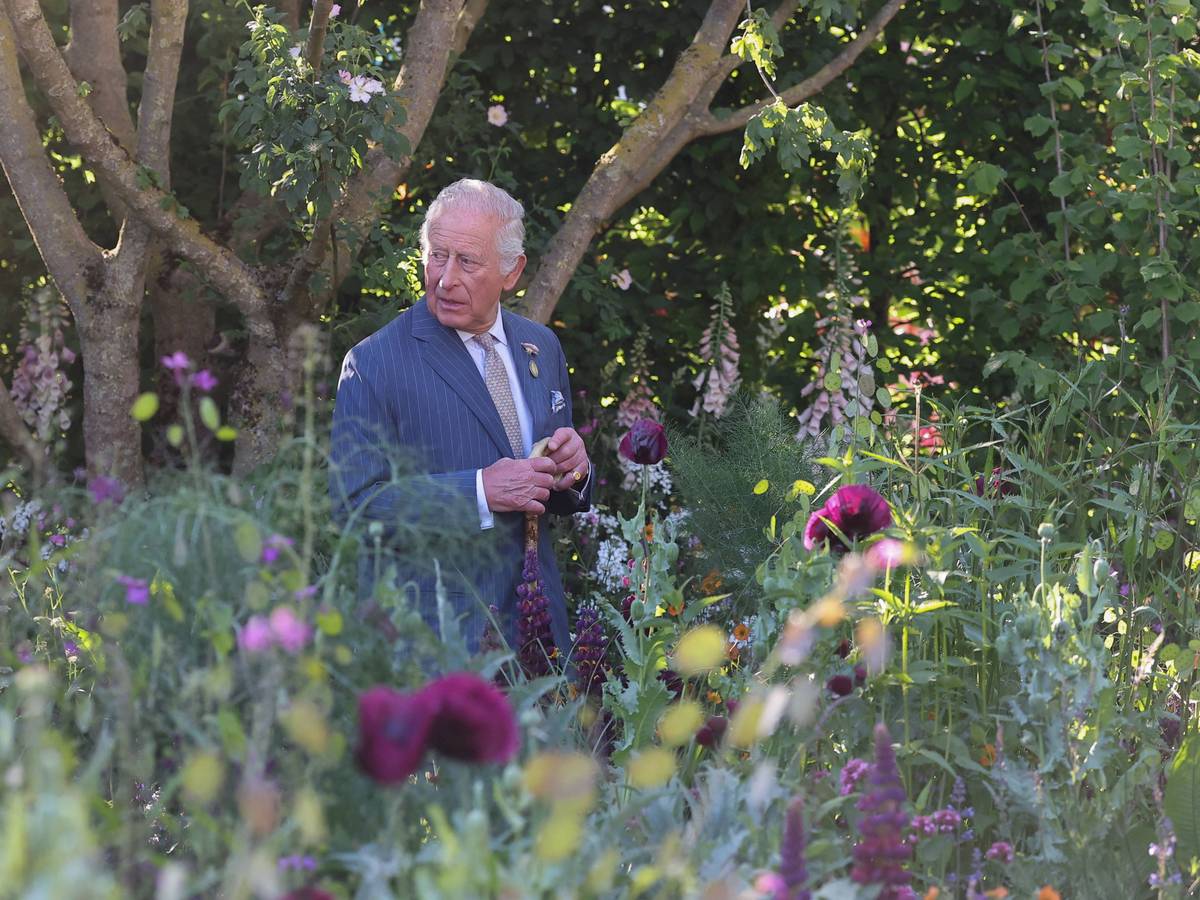 König Charles geht durch einen Garten