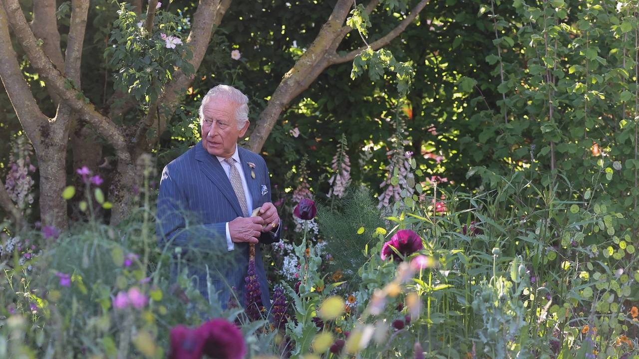 König Charles geht durch einen Garten