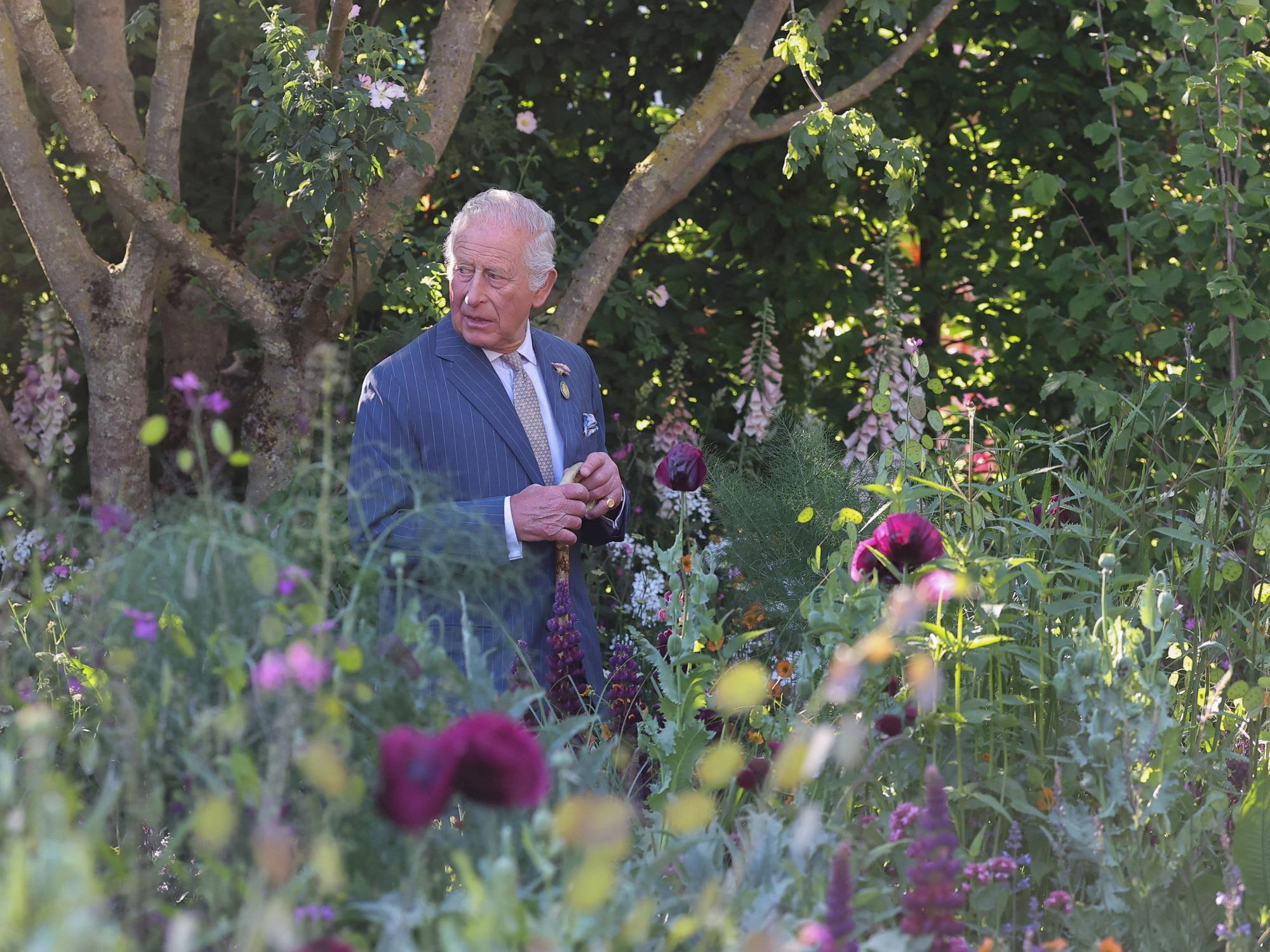 König Charles geht durch einen Garten