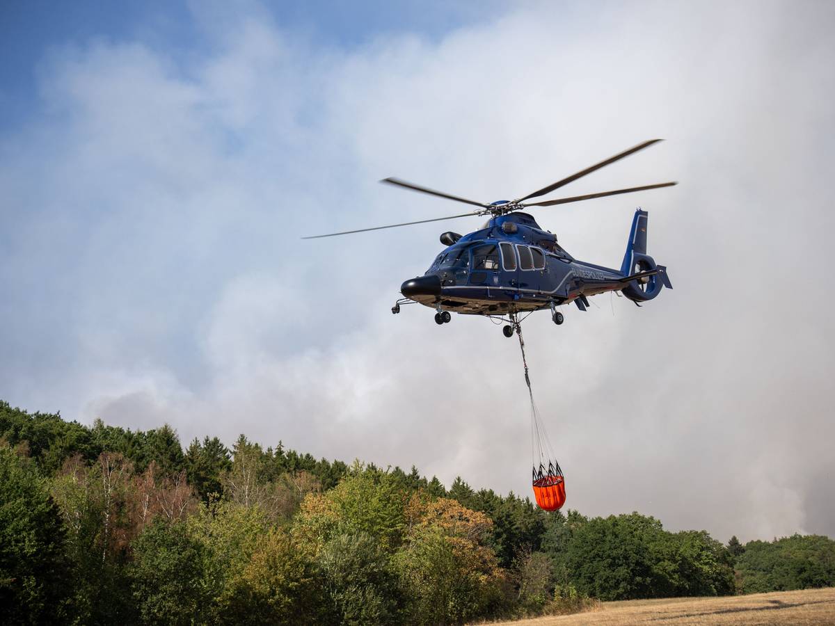 14.08.2026, Nordrhein-Westfalen, Hürtgenwald: Ein Helikopter der Bundespolizei mit einem Löschwasser-Außenlastbehälter ist beim Waldbrand im Hürtgenwald im Einsatz. Mehrere Hundert Hektar Waldfläche stehen in Flammen. (zu dpa: «Mehrere Löschhubschrauber bei Hürtgenwald erwartet») Foto: Harald Tittel/dpa +++ dpa-Bildfunk +++