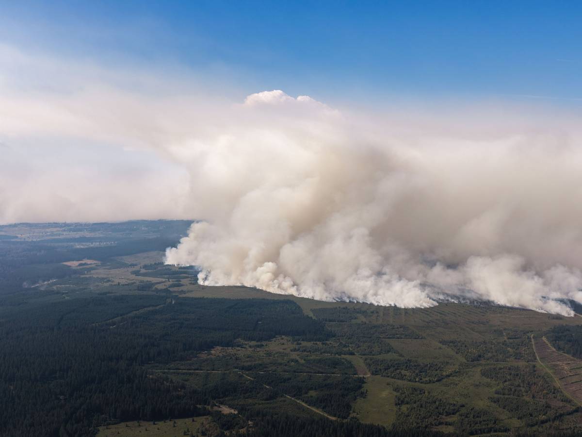 Eine große Rauchwand ist von Deutschland in Richtung des großen Waldbrands in Belgien im Gebiet Hohes Venn zu sehen.