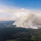 Eine große Rauchwand ist von Deutschland in Richtung des großen Waldbrands in Belgien im Gebiet Hohes Venn zu sehen.