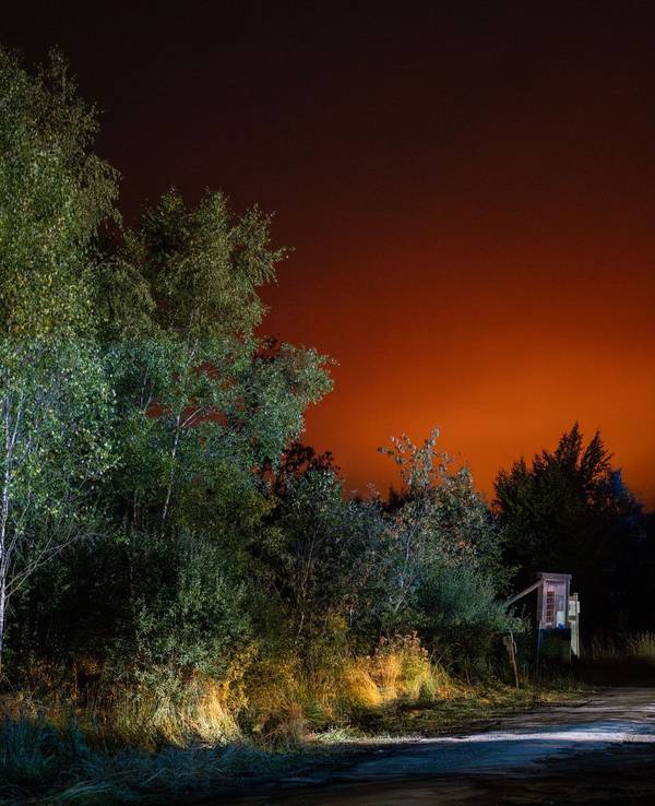 Waldbrand in Belgien