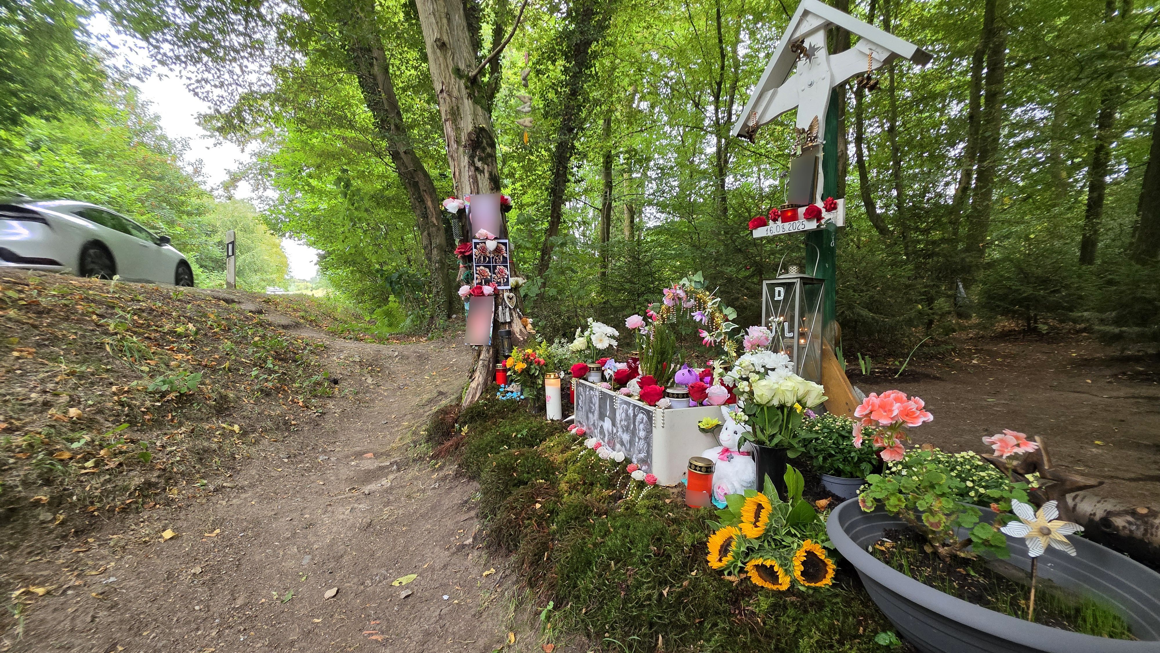 Eine Gedenkstätte im Wald erinnert an den Tod von vier Teenagern auf der benachbarten Dürschtalstraße am 16. August 2025.