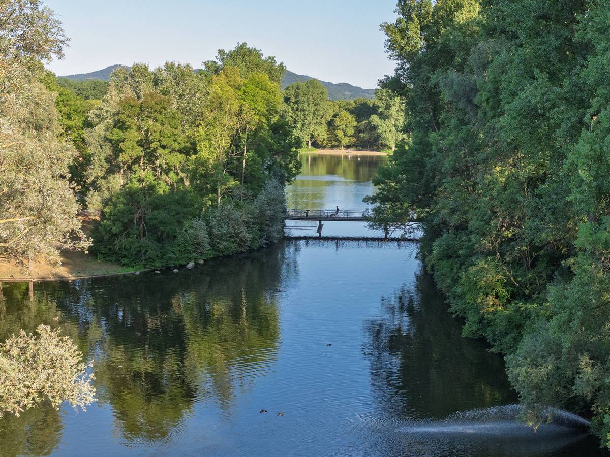 Blick auf die Bonner Rheinaue Ende Juli.