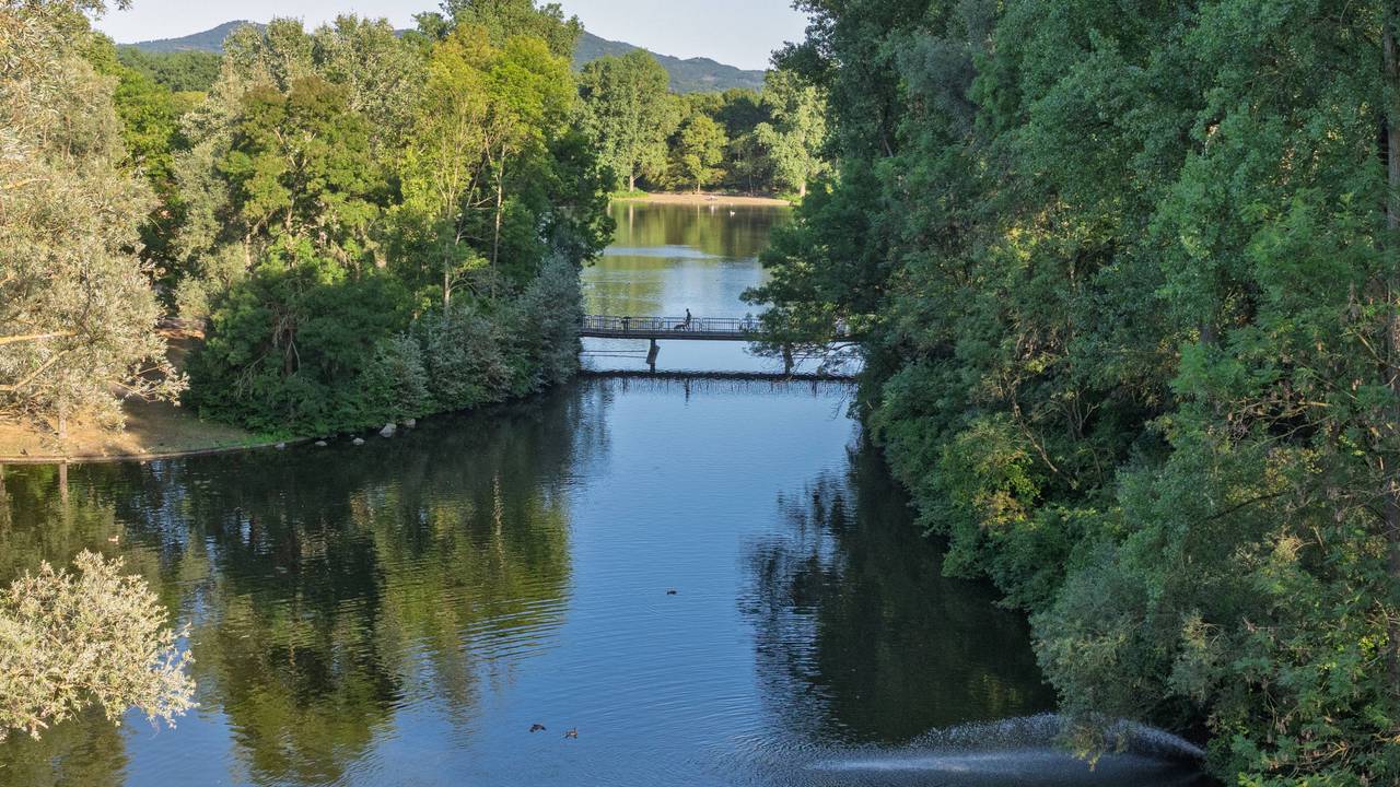 Blick auf die Bonner Rheinaue Ende Juli.