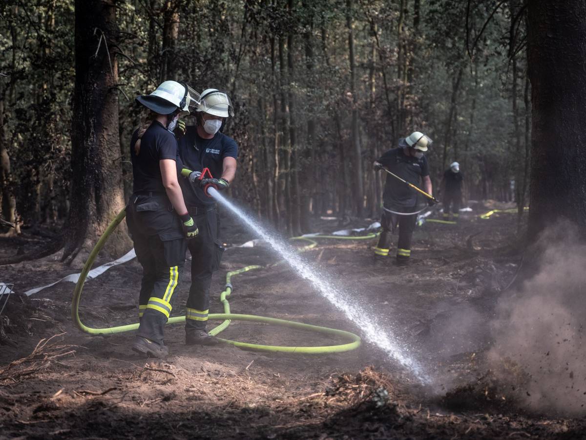 Feuerwehrmänner sind bei Nachlöscharbeiten in einem Waldstück im Hürtgenwald im Einsatz.