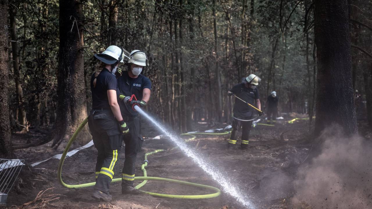 Feuerwehrmänner sind bei Nachlöscharbeiten in einem Waldstück im Hürtgenwald im Einsatz.