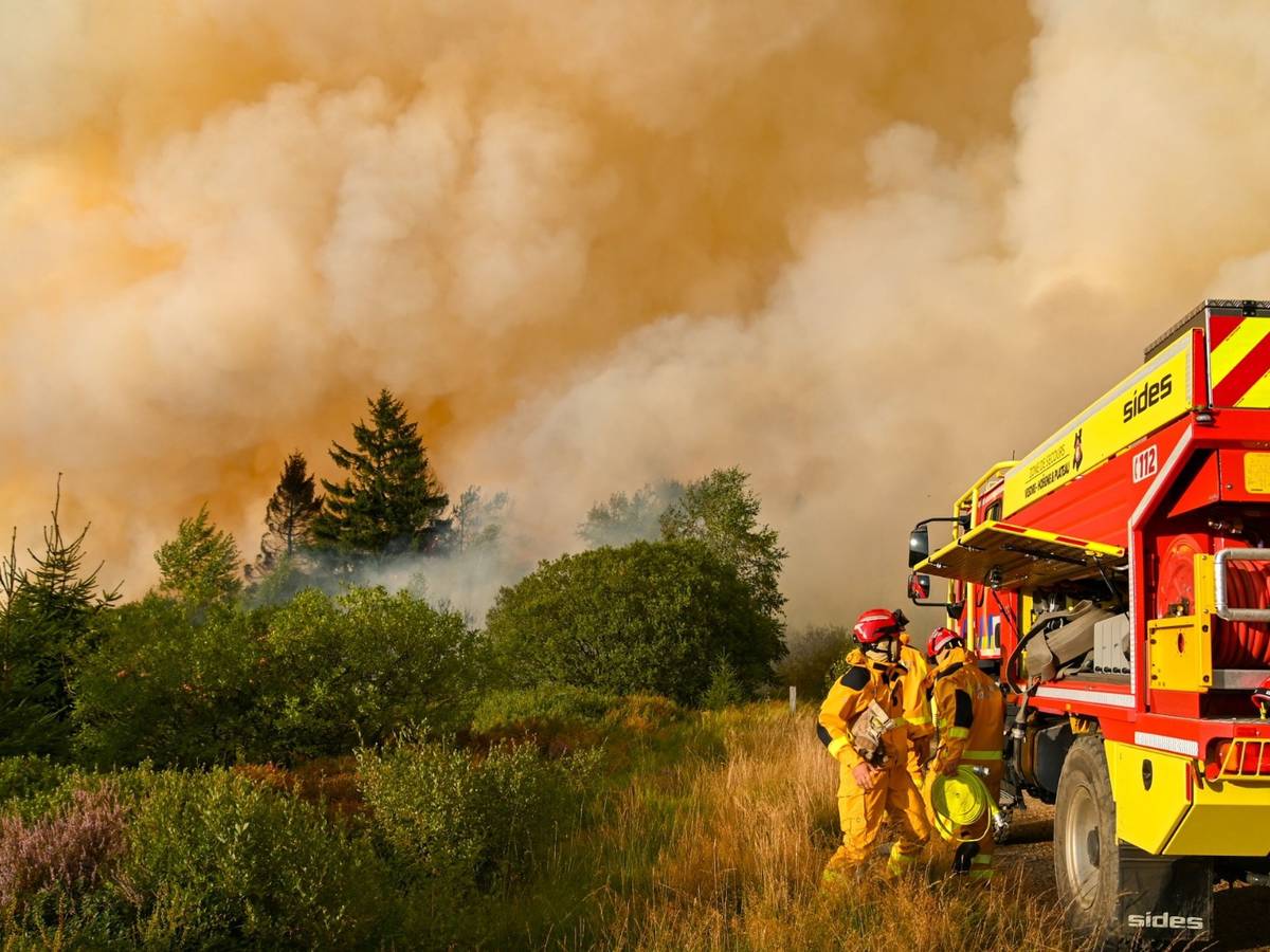 Das von VHP zur Verfügung gestellte Foto zeigt Feuerwehrleute im Einsatz beim Großbrand im Naturschutzgebiet Hohes Venn (Hautes Fagnes).