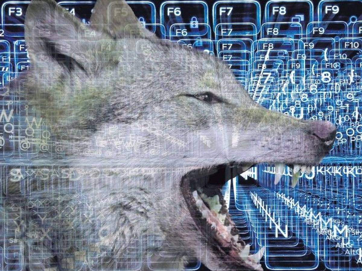 Ein Wolf vor einer Illustration aus Computertasten