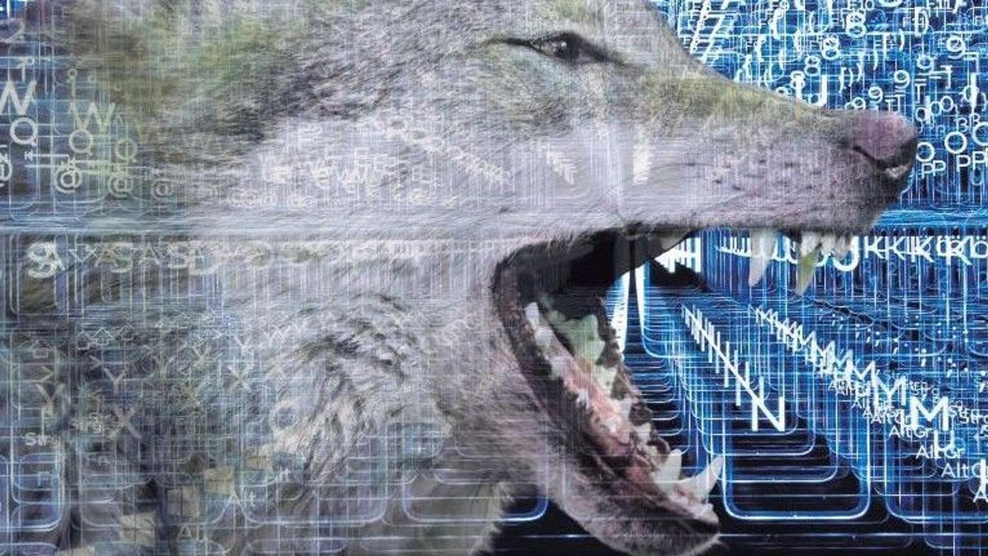 Ein Wolf vor einer Illustration aus Computertasten