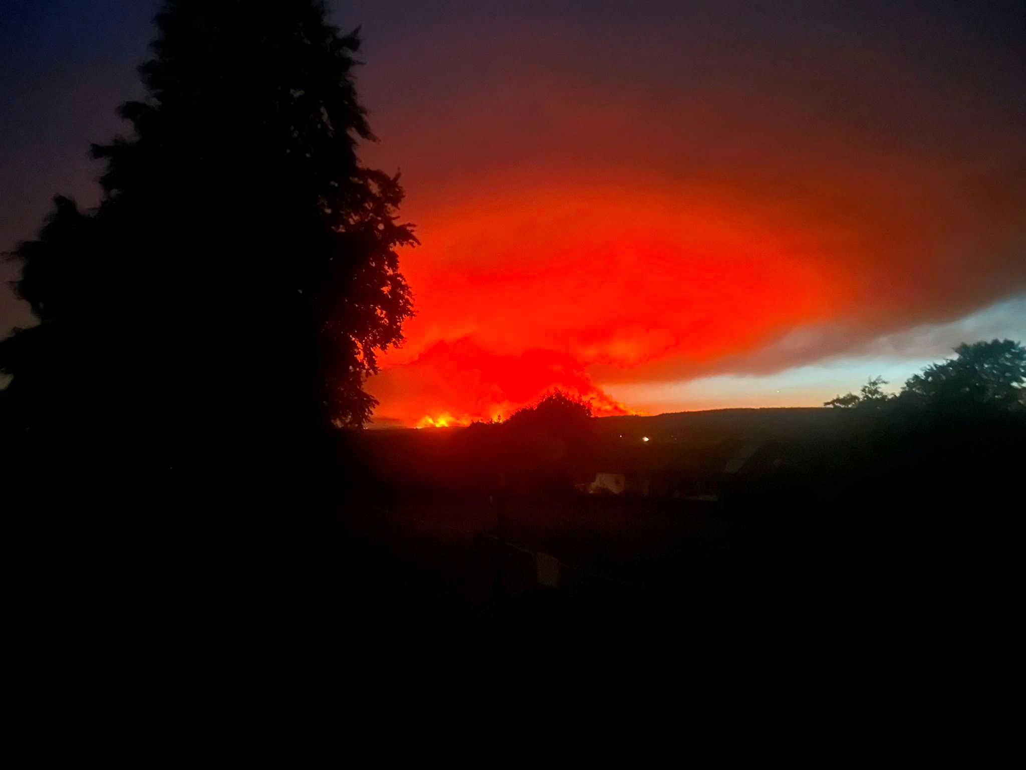 Blick auf den Waldbrand in Belgien.