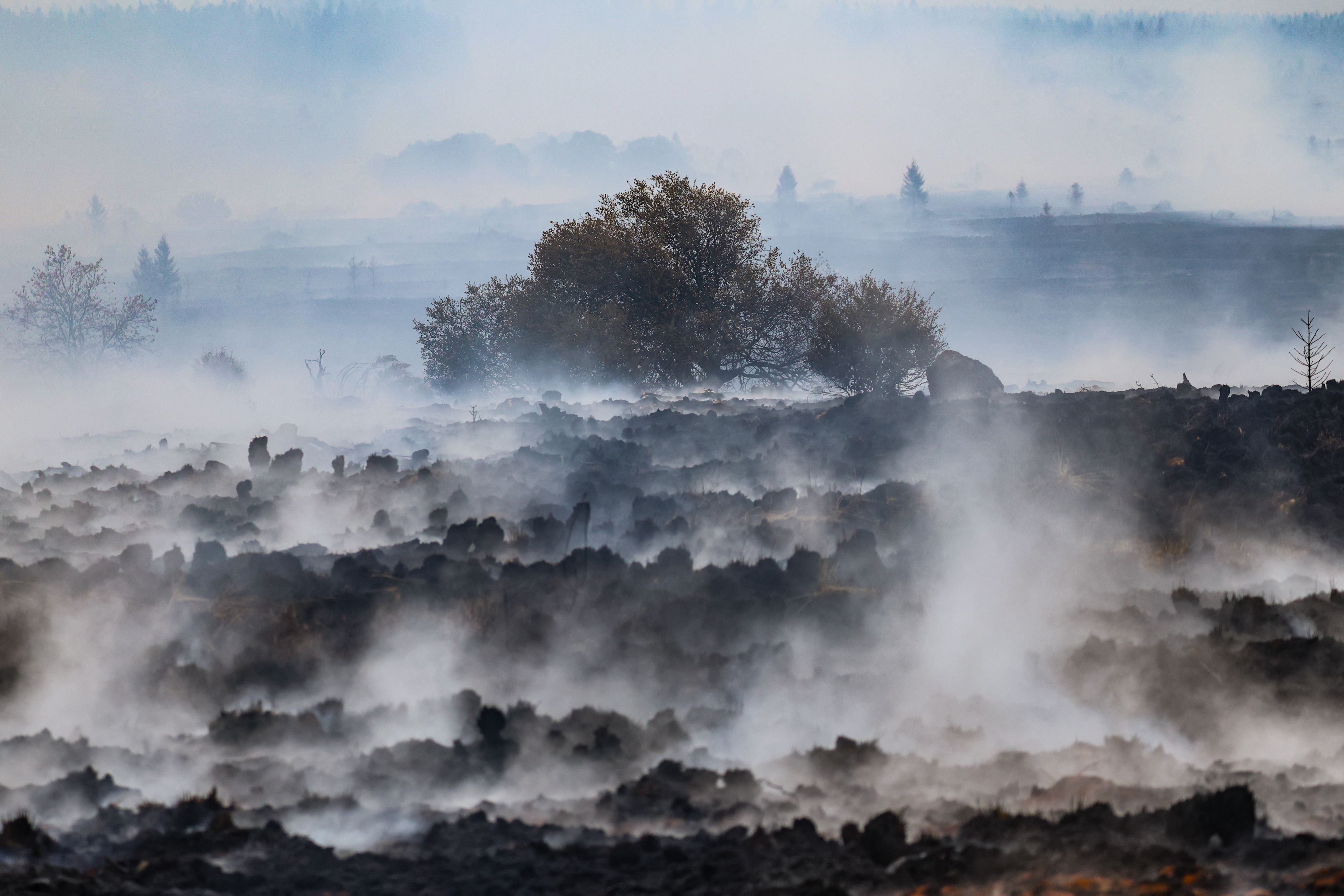 Der Rauch aus dem Waldbrandgebiet im Hohen Venn zieht bis nach Köln. In der Domstadt kam es am Dienstag zu Geruchsbelästigungen.