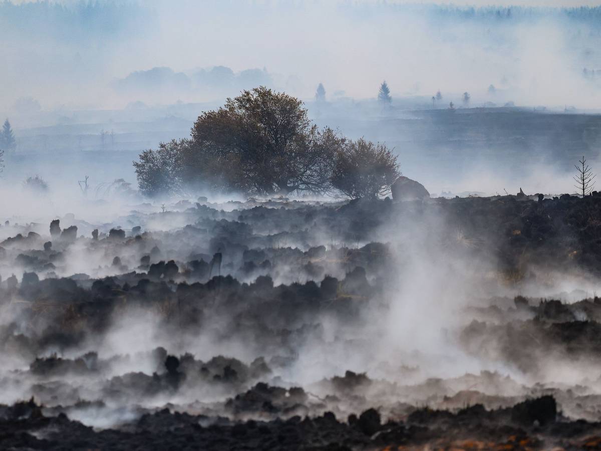 Der Rauch aus dem Waldbrandgebiet im Hohen Venn zieht bis nach Köln. In der Domstadt kam es am Dienstag zu Geruchsbelästigungen.