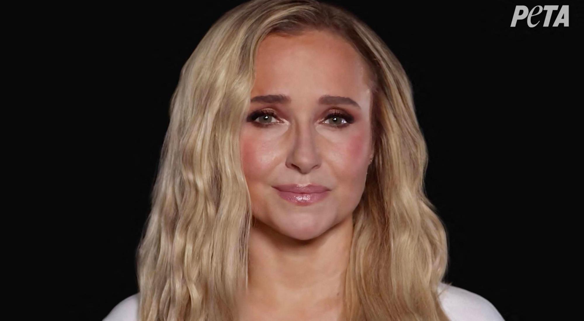Hayden Panettiere trat kurz vor ihrem Tod in einer Peta-Kampagne auf.