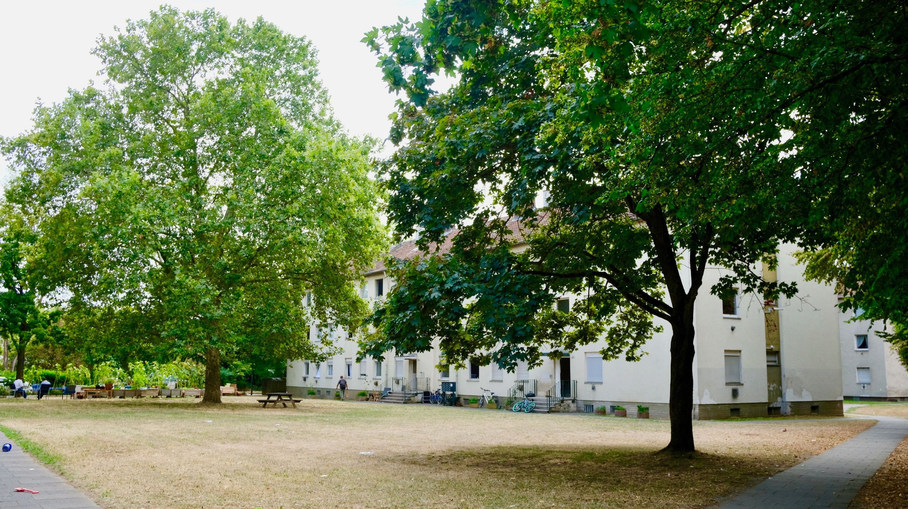 Einige Fenster und Türen der Sozialhäuser an der Geisbergstraße sind geöffnet.