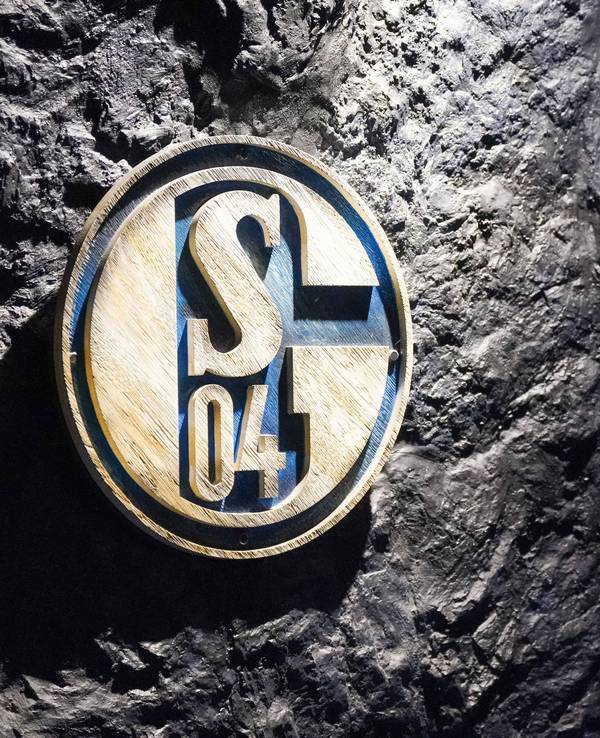 Das Logo des FC Schalke 04.