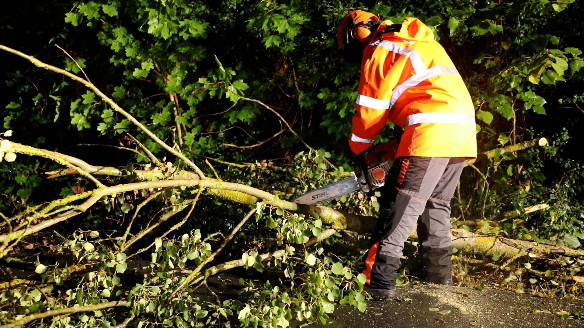 Eine Einsatzkraft arbeitet an einem umgestürtzen Baum. Ein kräftiges Gewitter ist über das Vogtland gezogen.