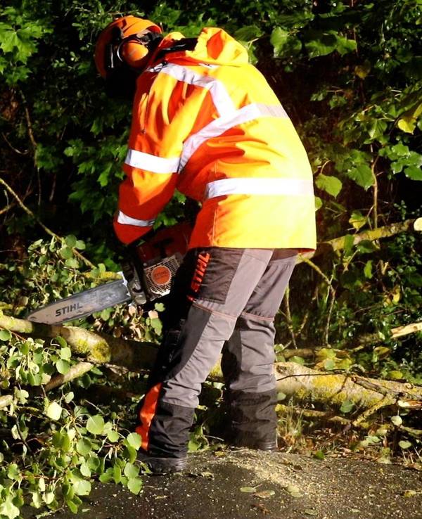 Eine Einsatzkraft arbeitet an einem umgestürtzen Baum. Ein kräftiges Gewitter ist über das Vogtland gezogen.