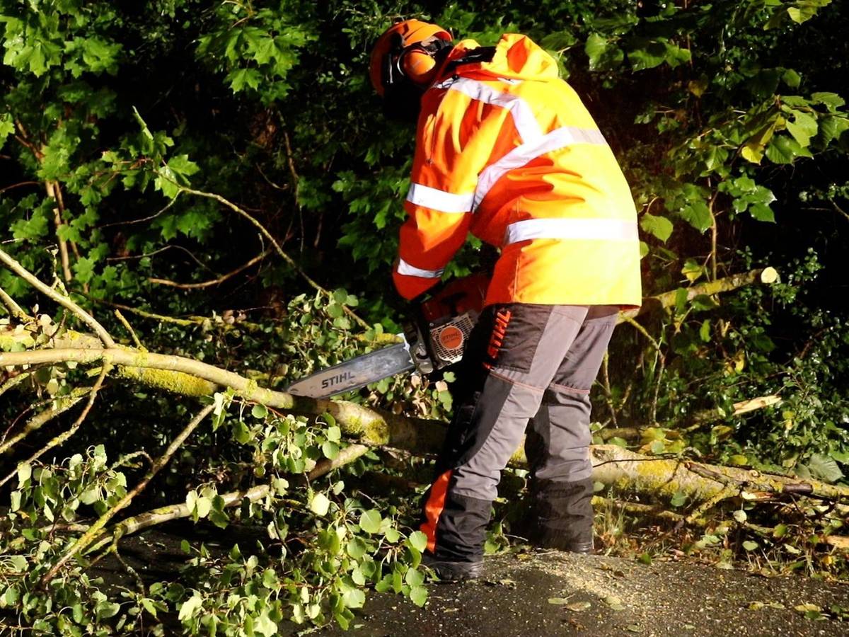 Eine Einsatzkraft arbeitet an einem umgestürtzen Baum. Ein kräftiges Gewitter ist über das Vogtland gezogen.