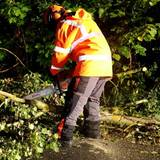 Eine Einsatzkraft arbeitet an einem umgestürtzen Baum. Ein kräftiges Gewitter ist über das Vogtland gezogen.