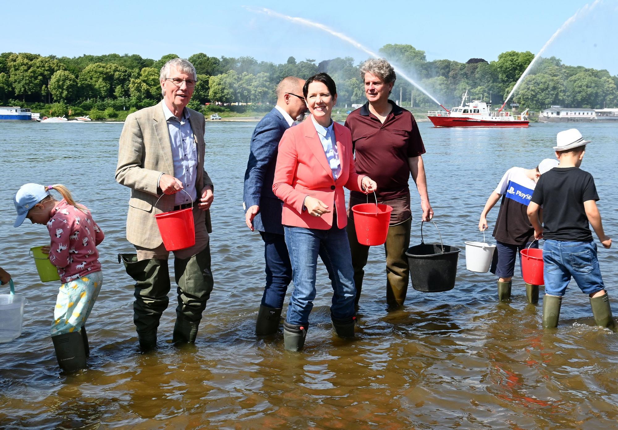 Im Juni 2025 setzte NRW-Landwirtschaftsministerin Silke Gorißen (rote Jacke) gemeinsam mit Schulkindern in Köln-Poll 50.000 Maifischlarven im Rhein aus.