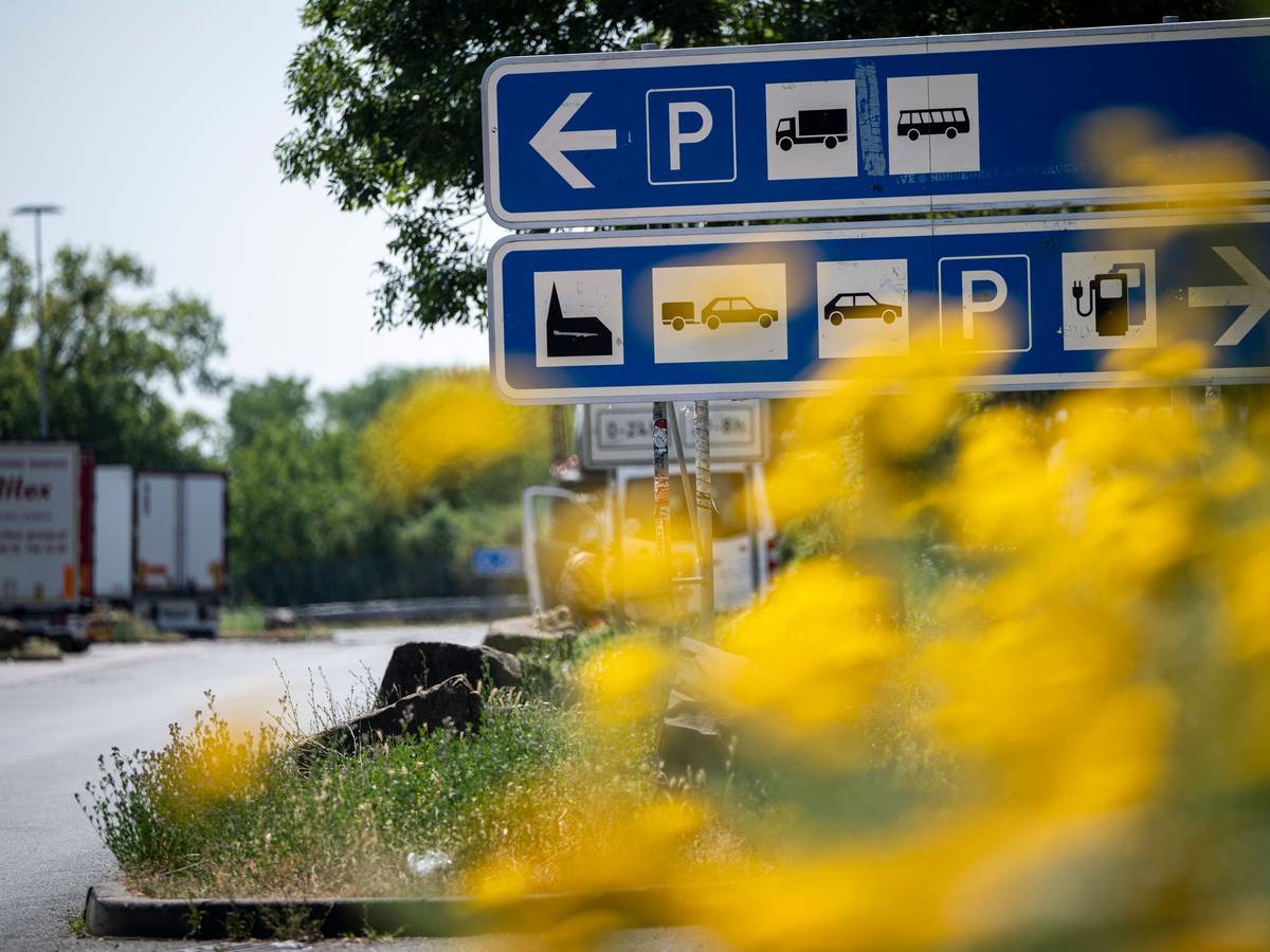 Aus Sorge um ihre Katze hat eine Familie in Frankreich den Urlaub auf einem Rastplatz verbracht.