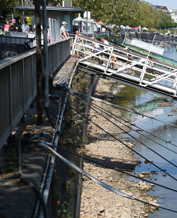 Dank des Regens steigt der Pegel am Rhein langsam wieder an. Von Normalzustand ist der Fluss aber noch weit entfernt.