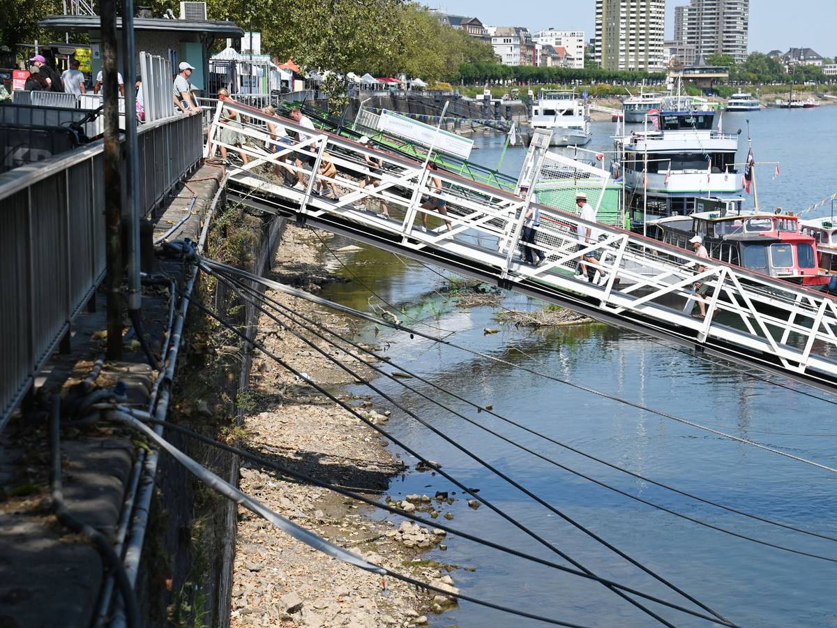 Dank des Regens steigt der Pegel am Rhein langsam wieder an. Von Normalzustand ist der Fluss aber noch weit entfernt.